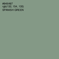 #849A87 - Spanish Green Color Image